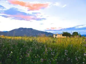 9d363630 original.jpg New Listing