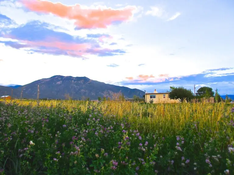 9d363630 original.jpg