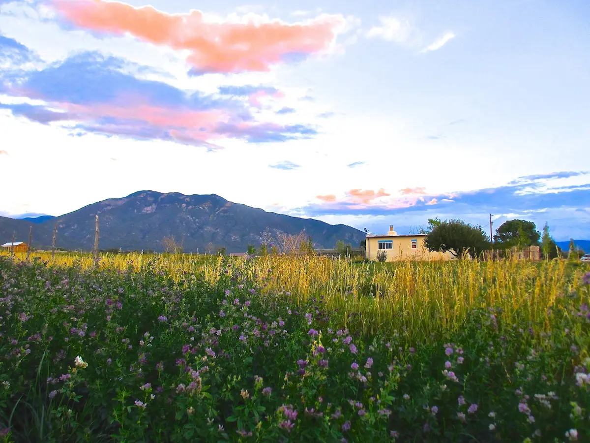 9d363630 original.jpg