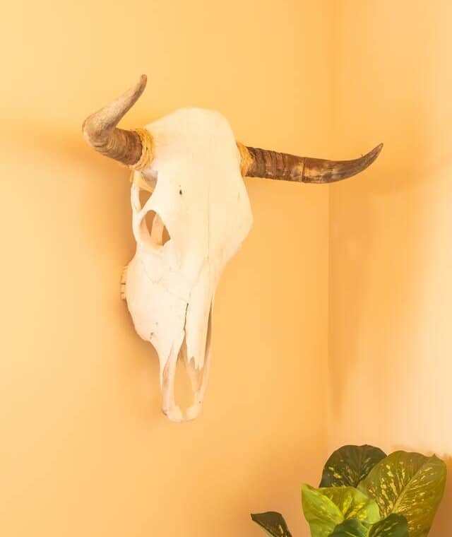 tmuxrhpIpJ2Nd12IqMNTEfMVFpbpbwqDArdTI2B0.jpg