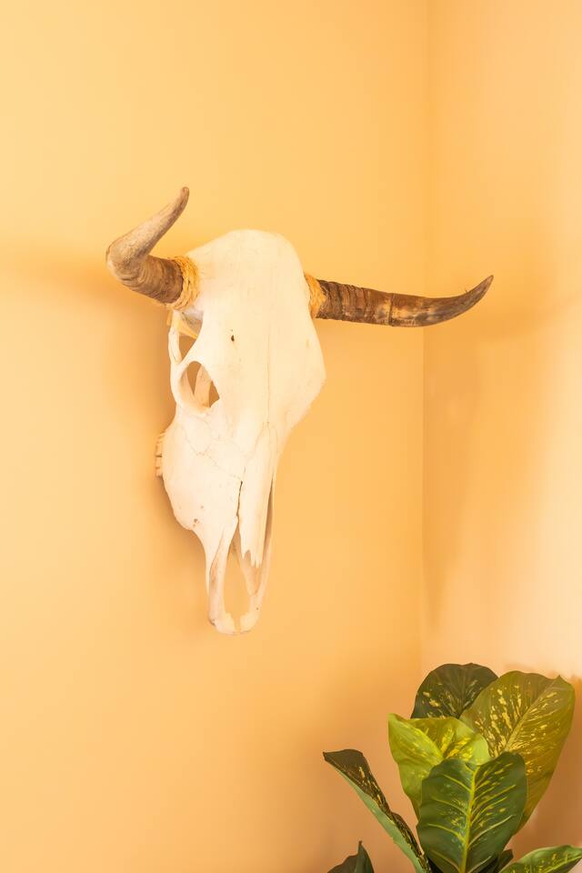 tmuxrhpIpJ2Nd12IqMNTEfMVFpbpbwqDArdTI2B0.jpg