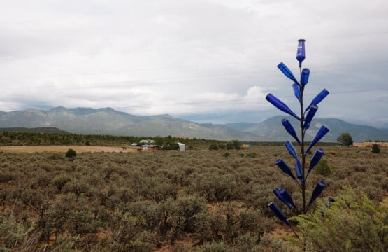HighDesertStays CasaPaloma 1